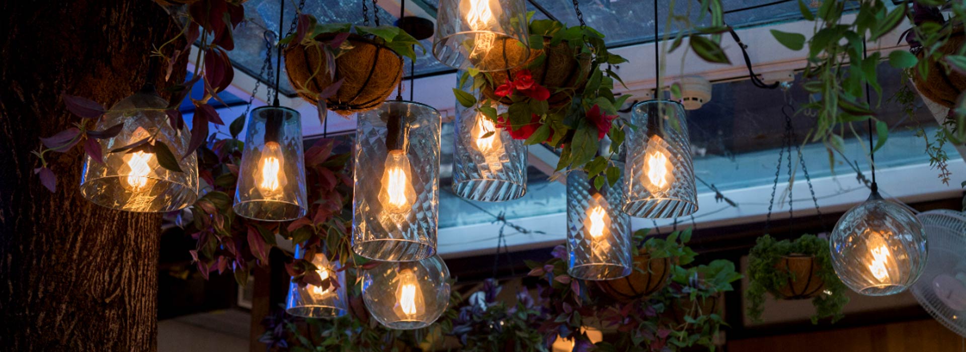 Let LED Filament Bulbs Light Up the World  IN EVERY CORNER