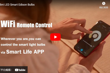 Flint LED Smart Edison Bulbs