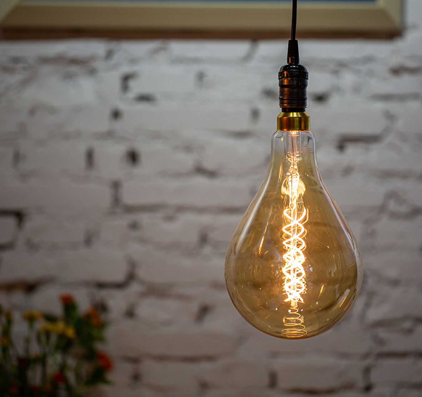 PS52 Bulbs