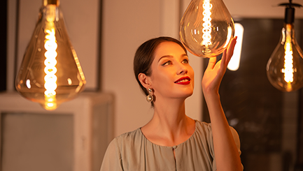 Lustrous Charm: Enhancing Your Space with Ornamental Globe Light Bulbs
